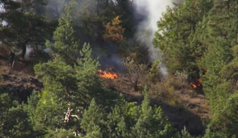 "ნუ დატოვებ კოცონს უყურადღებოდ"- ხანძარსაწინააღმდეგო კამპანია
