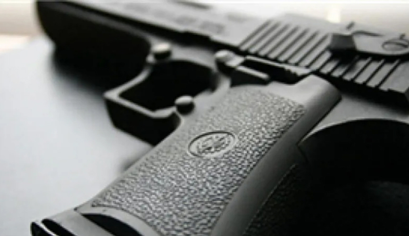 Վրաստան են փորձել ներկրել հրազեն և զինամթերք