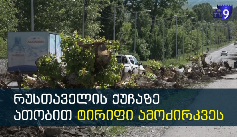 ახალციხის ცენტრალურ ქუჩაზე ხები ამოძირკვეს