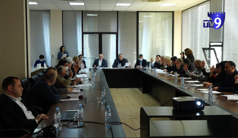 საკრებულოს სხდომაზე,  საზოგადოებრივი დარბაზის დებულება განიხილეს