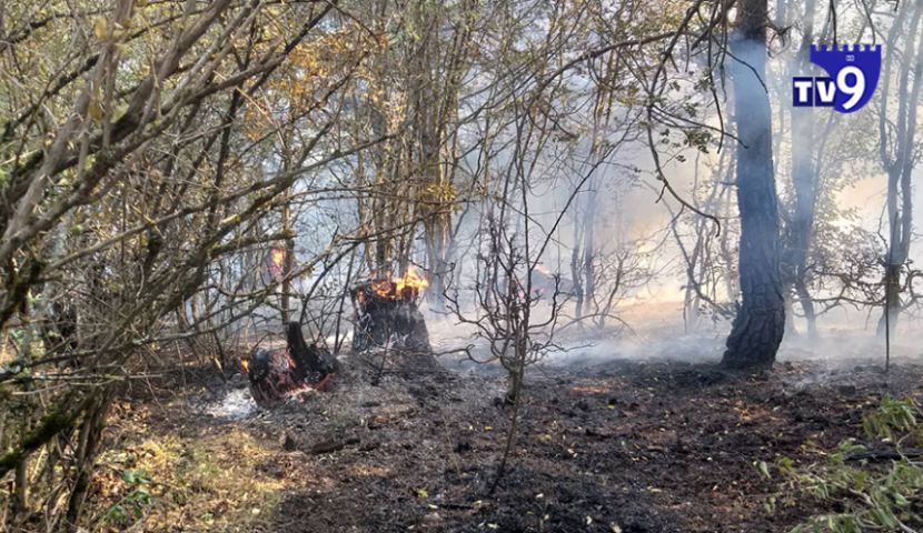 ემუქრება თუ არა საფრთხე დასახლებულ პუნქტებსა და ბაქო-თბილისი-ჯეიჰანის მილსადენს?