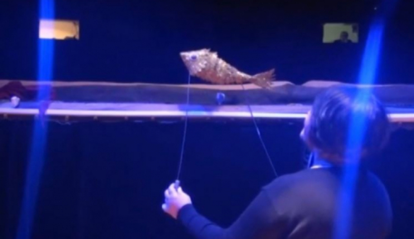 დღეს მეთოჯინეთა საერთაშორისო დღეა