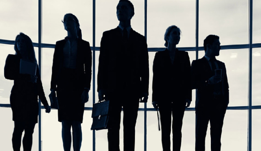 ყოველი მე-4 დასაქმებული საჯარო სექტორშია