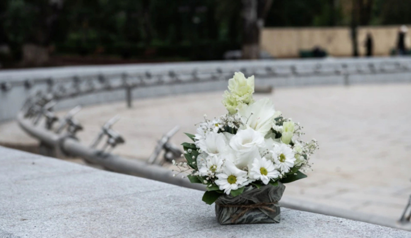 ვაკის პარკის შადრევნის საქმეზე 9 პირია დაკავებული- როგორ ვითარდებოდა მოვლენები 18 ოქტომბერს