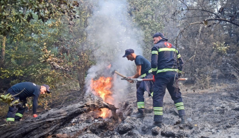 ხანძრის მერვე დღე - რა ვითარებაა ამ დროისთვის სტიქიის ზონაში?
