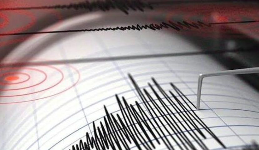 საქართველოში მიწისძვრა მოხდა