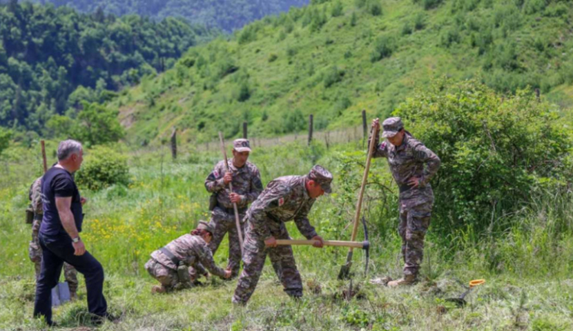 ბორჯომში სამხედროებმა გამწვანების აქციაში „ტყის ბუნებრივი განახლება“ მიიღეს მონაწილეობა