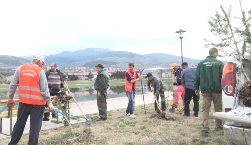 ახალციხის ტბაზე ფიჭვის ნერგები დარგეს 