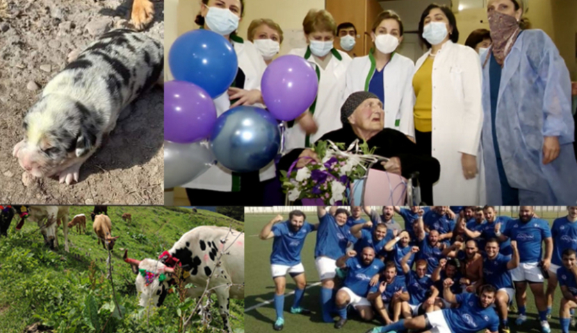 მნიშვნელოვანი მოვლენები, რომლებმაც  2021 წელი დაგვამახსოვრა