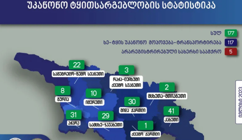 Սամցխե-Ջավախեթիում ապօրինի ծառահատման 29 դեպք է բացահայտվել