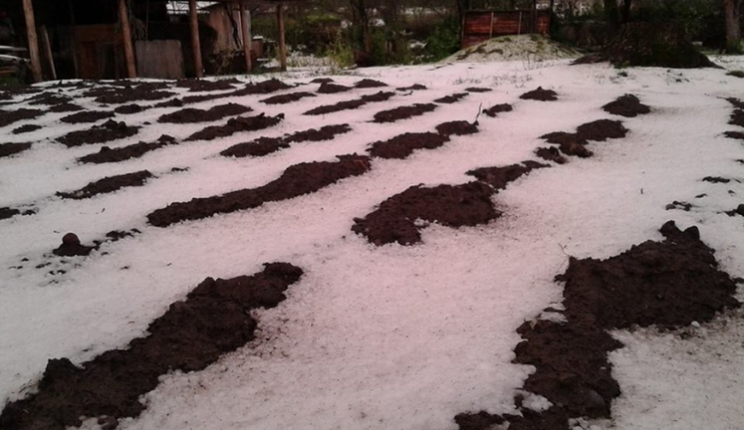 ძლიერმა ქარმა და სეტყვამ აბასთუმანი, ბორჯომი და ნინოწმინდა დააზარალა