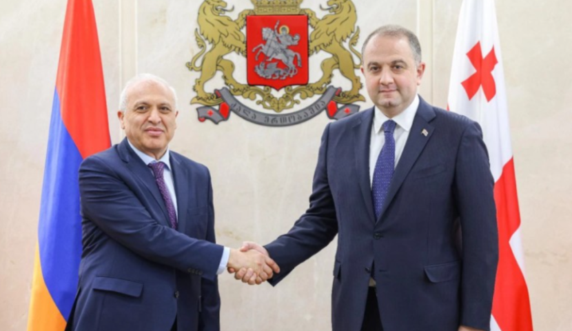 თავდაცვის მინისტრი საქართველოში სომხეთის რესპუბლიკის ელჩს შეხვდა