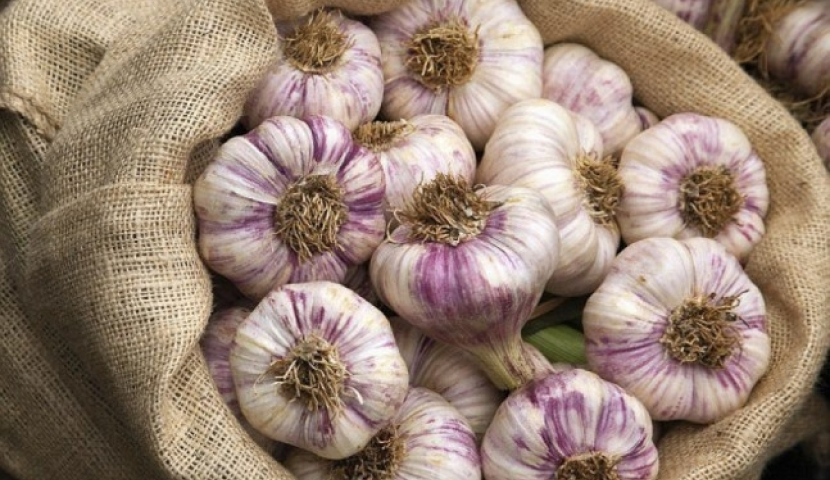 სად იყიდება ქართული ნიორი?