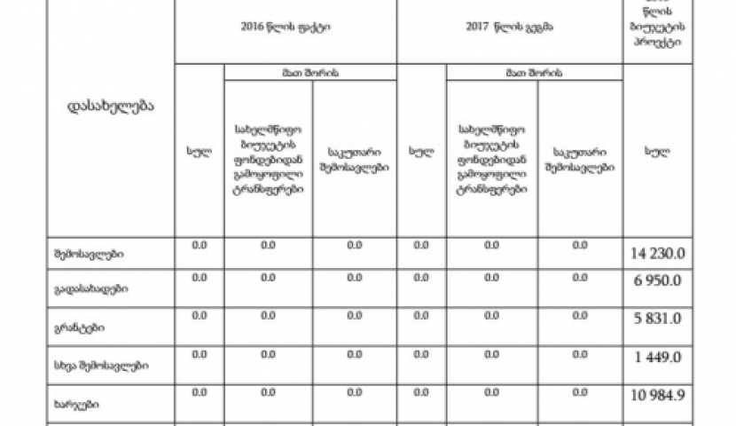 "ბიუჯეტი ვისიმეს ჯიბის ქისა არ არის" – საკრებულოს დეპუტატი
