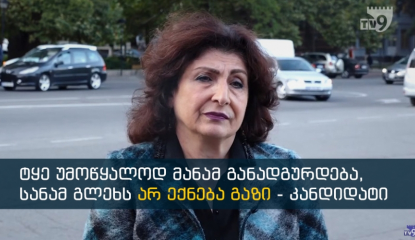 წარმოება უნდა შეიქმნას - კანდიდატის ხედვები სოფლის მეურნეობის მიმართულებით