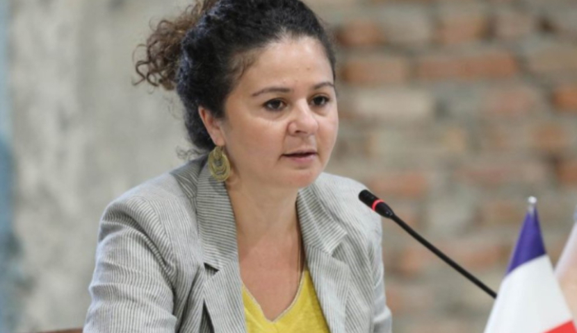 პრესის თავისუფლება დემოკრატიის ხერხემალია, მედიის მუშაკები დაცულები უნდა იყვნენ - საფრანგეთის ელჩი