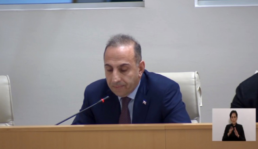 ანტონ ობოლაშვილმა რეგიონული განვითარების მინისტრს განსახორციელებელ პროექტებზე ჰკითხა