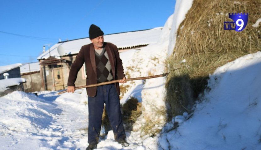 მაღალმთიან დასახლებებში მაცხოვრებელთა შეღავათები, ვინ სარგებლობს დახმარებით (ინფოგრაფიკა)