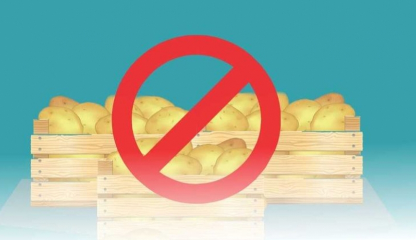 თურქეთიდან შემოტანილი დაავადებული კარტოფილი უკან დაბრუნდება