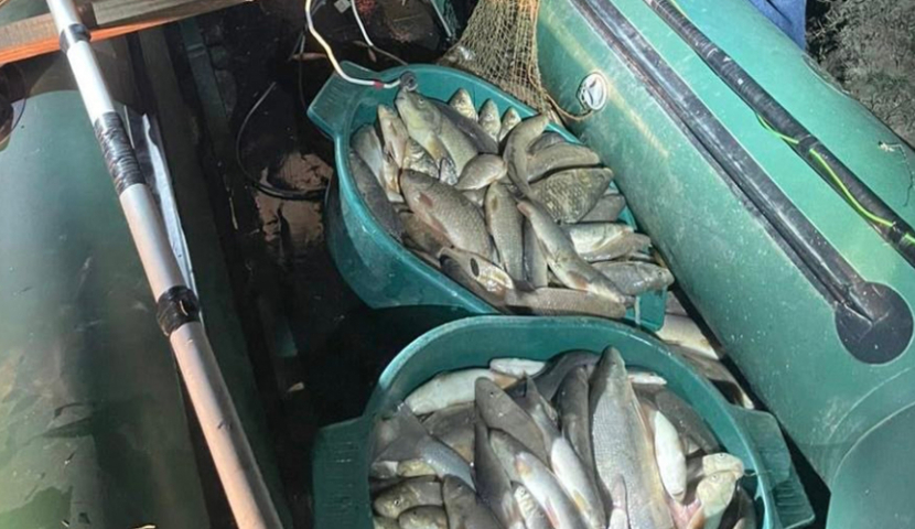 Սամցխե-Ջավախեթիում ապօրինի ձկնորսության 11 դեպք է բացահայտվել