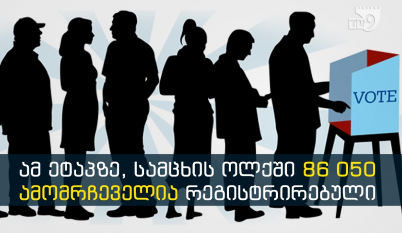 ამომრჩევლები, ოლქები, კანდიდატები სამცხეში (ინფოგრაფიკა)