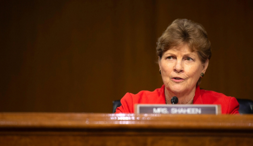 "ის არის რუსული კანონის მსგავსი" - ჯინ შაჰინი