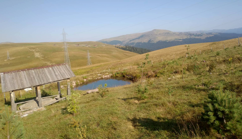 82 წლის აფრი აფრიამაშვილმა არლის მთაში დასასვენებელი ადგილი მოაწყო