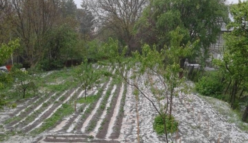 სეტყვამ ახალციხეში სამი სოფელი დააზარალა 