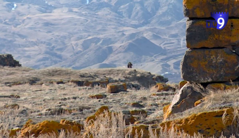 DMO სარო-ნიჯგორის ერთდღიანი ბილიკის მარკირებას იწყებს