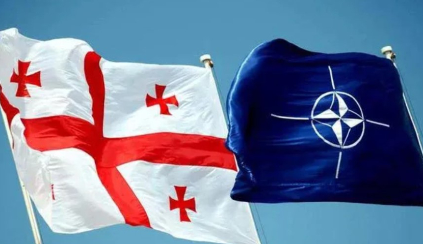 ნატო-ს მოკავშირეები შეშფოთებულნი არიან საქართველოს ტრაექტორიასთან დაკავშირებით - ნატოს ოფიციალური პირი