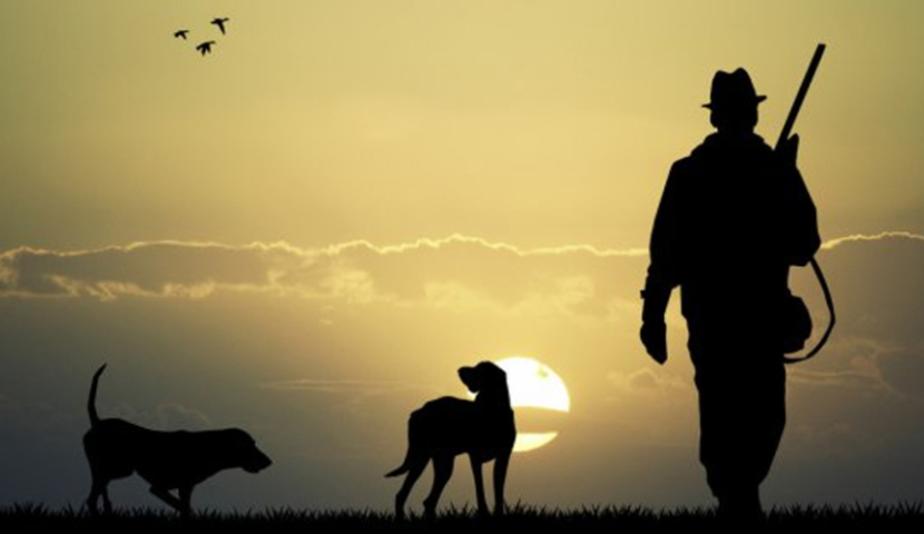 როდის გაიხსნება ნადირობის სეზონი?