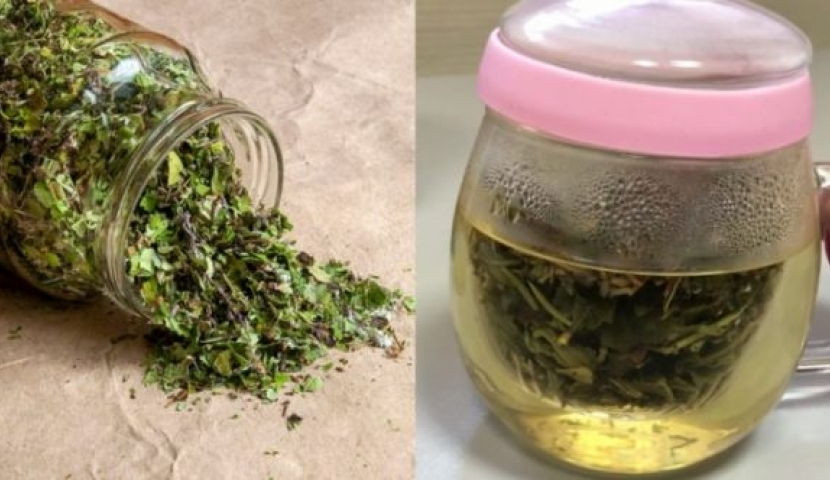 ვიტამინებით მდიდარი ჩაი-ბალზამის დამზადება სახლის პირობებში