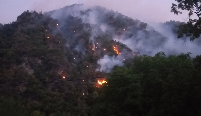 ბორჯომში ხანძარს ამ დრომდე ებრძვიან - როგორ განვითარდა მოვლენები 19 აგვისტოდან დღემდე
