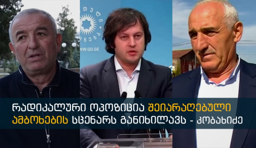 "მერაბიშვილის გაკეთებული შტაბები მე არ მინახავს" - ოპოზიცია "ოცნებას" ეხმაურება