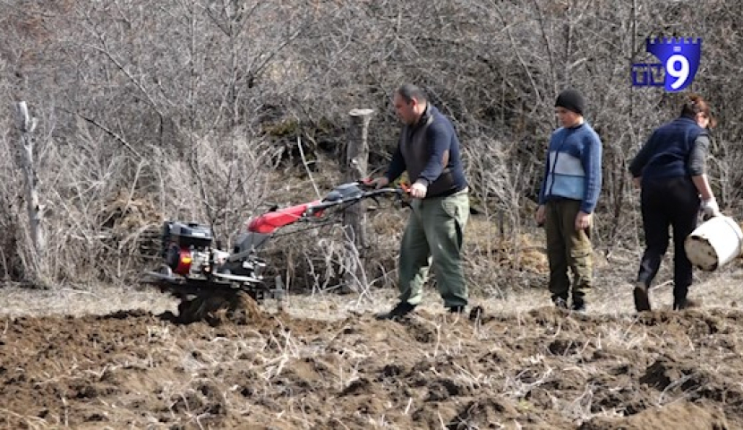 გადაყრილი მოსავალი და შრომა ბუნდოვანი პერსპექტივით - ფერმერები პანდემიის პირისპირ