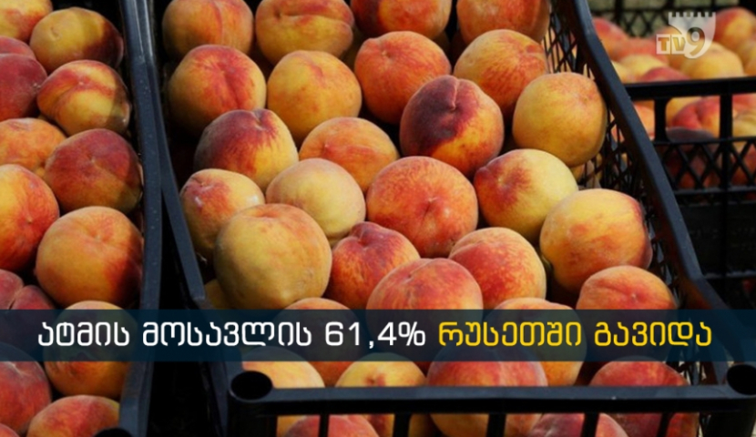 ქართული ატმის 60%-ზე მეტი რუსეთში იყიდება