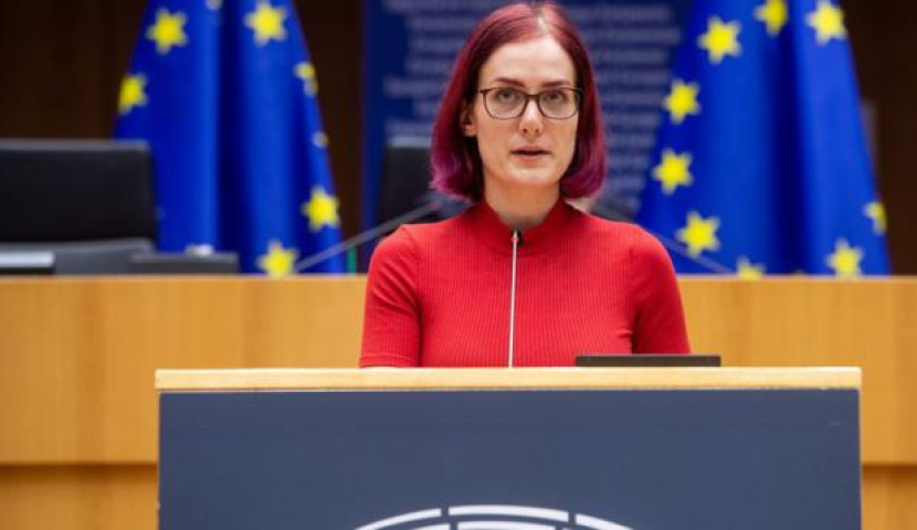 სააკაშვილის დაბრუნებას დიდი ეფექტი მოჰყვება, არ მგონია, ეს პოზიტიური იყოს - ევროპარლამენტარი