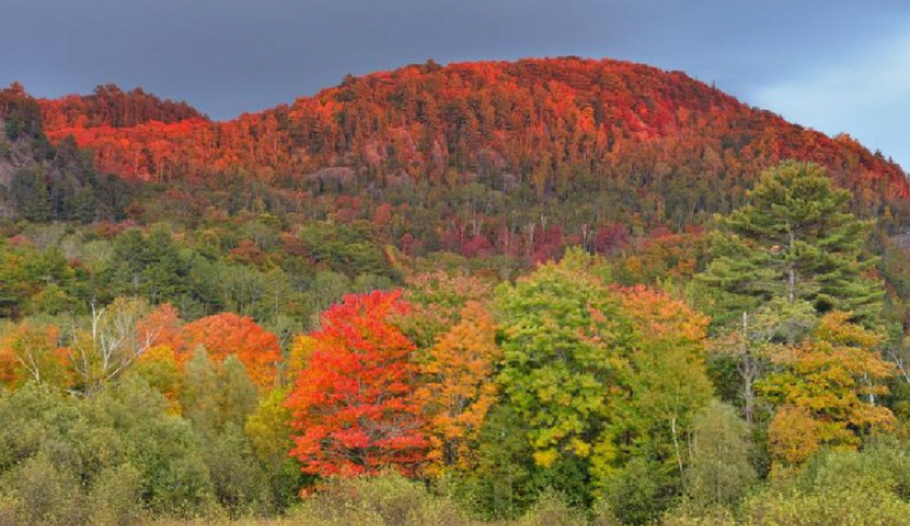 როდემდე გაგრძელდება უნალექო ამინდი რეგიონში?