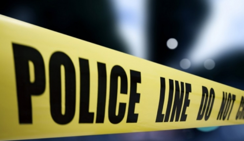 ბორჯომში გარემოსდაცვითი ზედამხედველობის დეპარტამენტის თანამშრომლები დაჭრეს