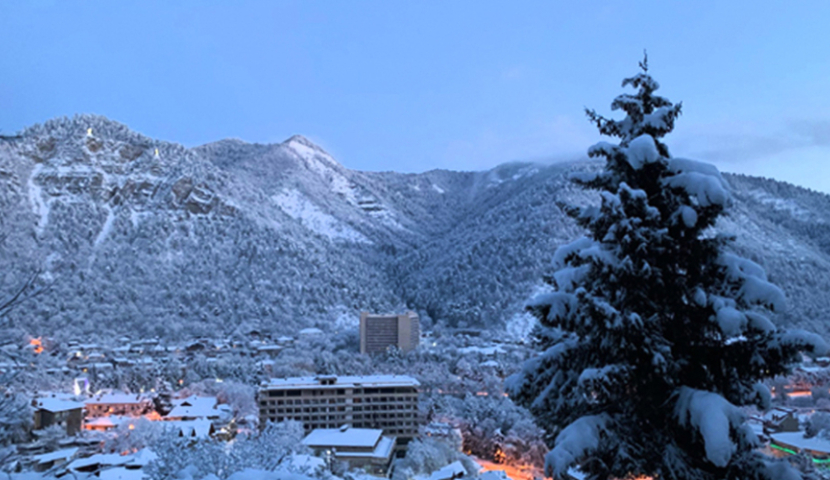 IDFI - მ თანამდებობის პირთა მიერ მიღებული საჩუქრების კანონიერება შეისწავლა