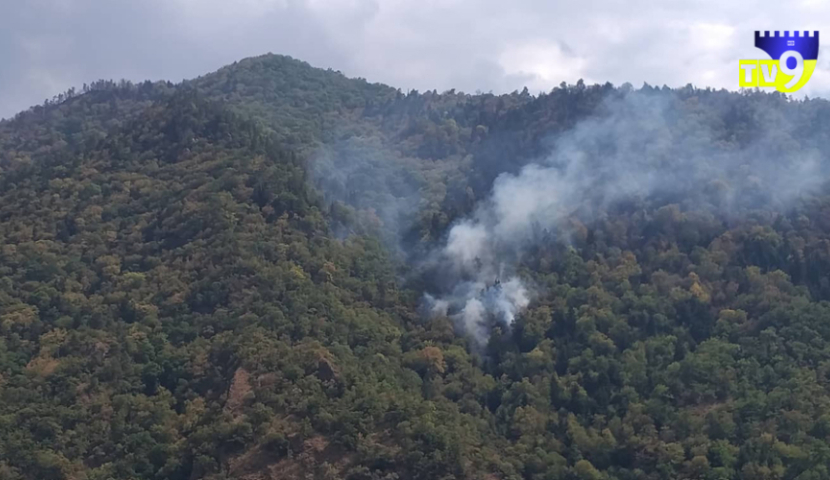ბორჯომში გაჩენილი ხანძრის ახალ კერას, ცოცხალი ძალა და ვერტმფრენი აქრობს