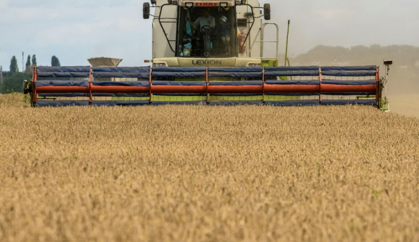 რუსეთი ხორბლის ექსპორტზე ბაჟს ამცირებს