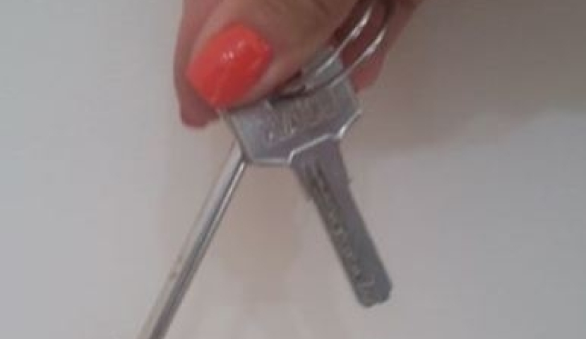 ნაპოვნია გასაღები