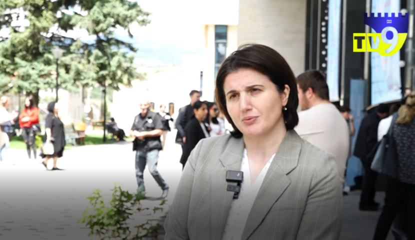 "ჩვენი მიზანია, მეტი ეთნიკური უმცირესობის წარმომადგენელი ჩავრთოთ დასაქმების პროგრამაში" - ნინო ველთაური