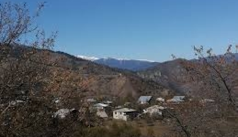 2019 წლიდან სოფლის მხარდაჭერის პროგრამა აღდგება