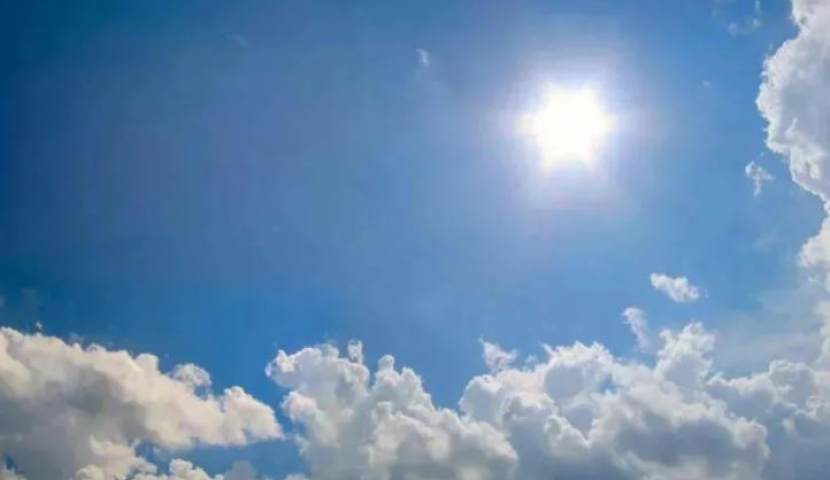 მომავალი კვირიდან გამოიდარებს 