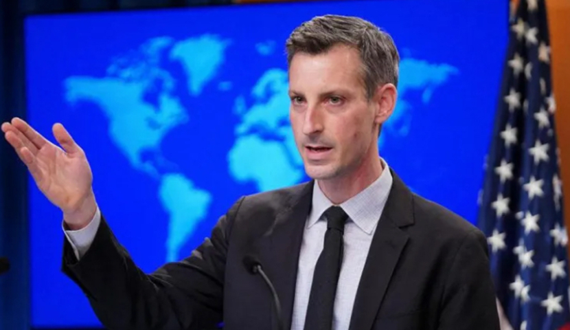 "ეს კანონი ეფუძნება რუსულ კანონმდებლობას" - ნედ პრაისი