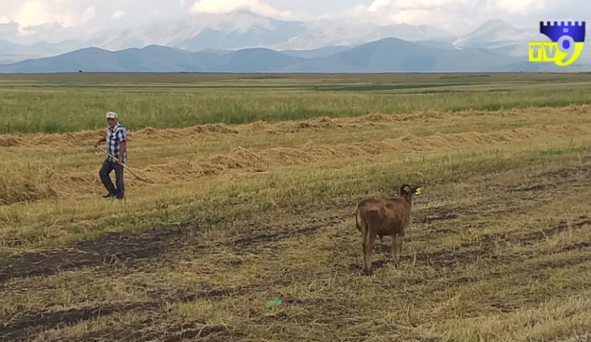Ռուսաստանը ոչ մեկին չի զիջի Կովկասը, թող բոլորն իմանան ՝ Կումուրդոյի բնակիչներ
