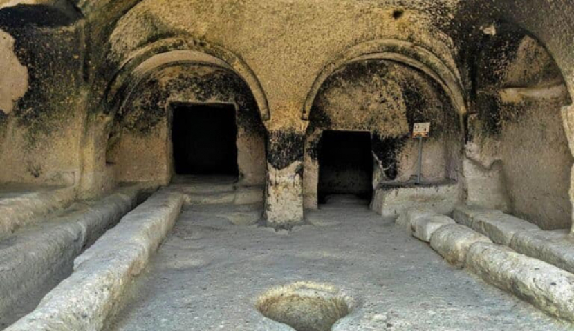 ტურიზმი და რძე