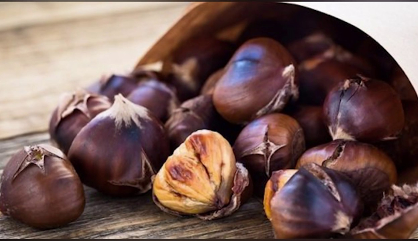 წაბლი სიმსივნური წარმონაქმნების რისკებს ამცირებს